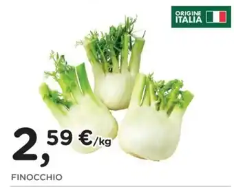 Finocchio