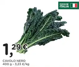 Orvea Cavolo Nero offerta
