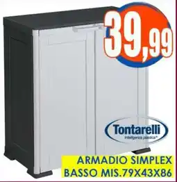 Giunigor Armadio Simplex Tontarelli offerta