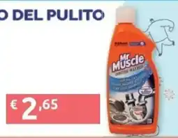 PiùMe Mr Muscle offerta