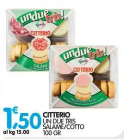 Le Delizie del Sud Citterio un due tris salame/cotto offerta