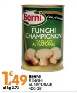 Le Delizie del Sud Berni funghi al naturale offerta