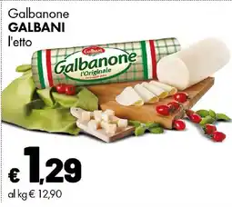 Supermercati Vinci Galbanone Galbani offerta