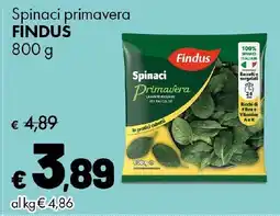 Supermercati Vinci Spinaci primavera Findus offerta