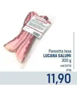 Talento Professional Store Pancetta tesa Lucana Salumi offerta