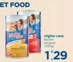 Bravo Casa Miglior cane bocconi offerta