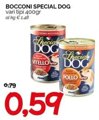 Special Dog