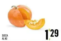 Vibian Zucca offerta