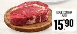 Vibian Reale scottona offerta