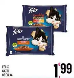 Vibian Felix Gatti offerta