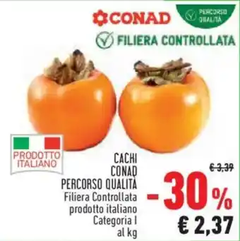 Cachi Conad
