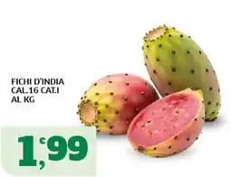 Sigma Superstore Fichi d'India offerta