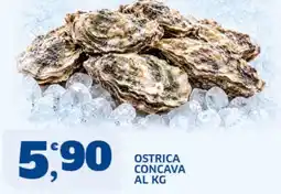 Sigma Superstore Ostrica concava offerta