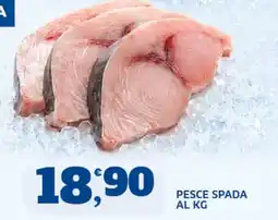 Sigma Superstore Pesce spada offerta