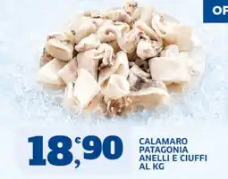 Sigma Superstore Calamaro Patagonia offerta