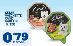 Sigma Superstore Cesar vaschette cane offerta