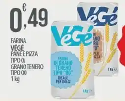 Iper Romagnolo Farina VéGé offerta