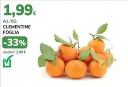 Basko Clementine Foglia offerta