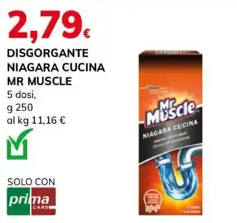 Disgorgante Niagara Cucina Mr Muscle
