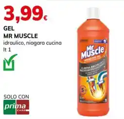 Basko Gel Mr Muscle idraulico, niagara cucina offerta