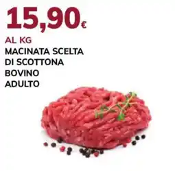 Basko Macinata scelta di scottona bovino adulto offerta