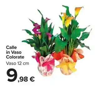 Carrefour Calle in vaso colorate offerta