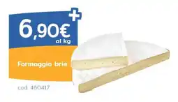 C+C Italmarket Formaggio brie offerta