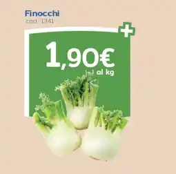 C+C Italmarket Finocchi offerta
