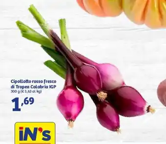 In'S Mercato Cipollotto rosco fresco di Tropea Calabria IGP 300g offerta