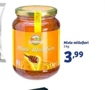 In'S Mercato Miele millefiori 1kg offerta