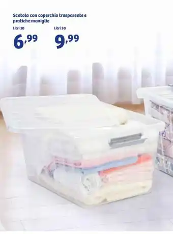 In'S Mercato Scatola con coperchio trasparente e pratiche maniglie 30 litri offerta