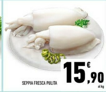 Conad Seppia fresca pulita offerta