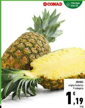 Conad Ananas offerta