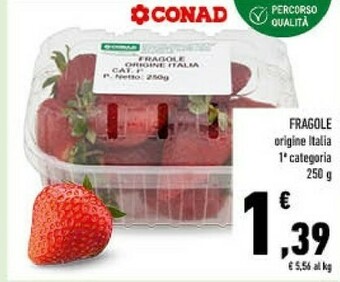 Conad Fragole offerta