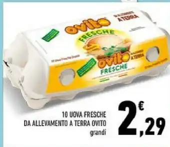 Conad 4 uova grandi extra fresche da allevamento a terra offerta