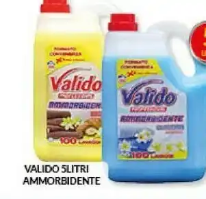 Risparmio Casa Valido ammorbidente 5000 ml offerta