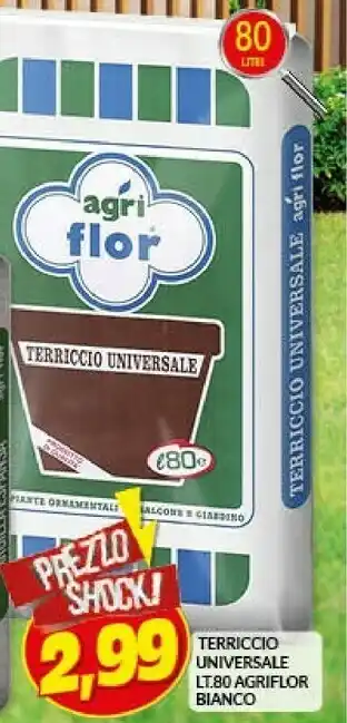 Risparmio Casa Agri flor terriccio universale offerta