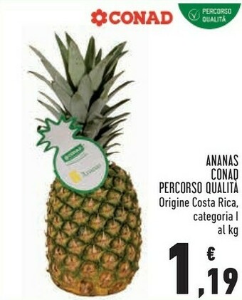 Conad City Conad ananas percorso qualita offerta
