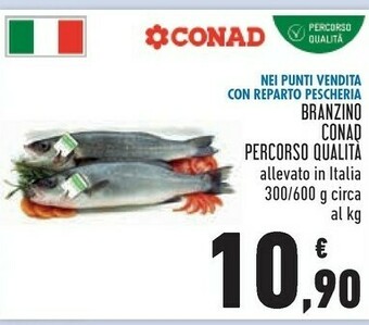 Conad Branzino offerta