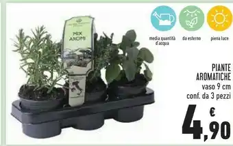 Conad Piante aromatiche offerta
