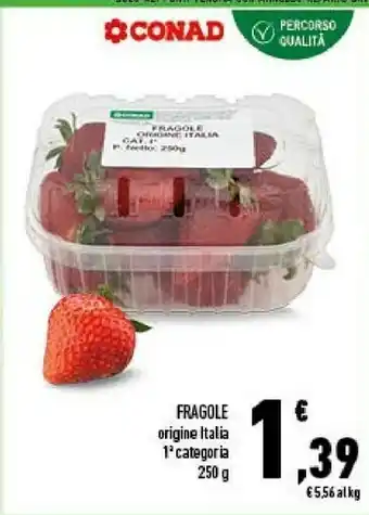 Conad City Conad fragole 250 g offerta