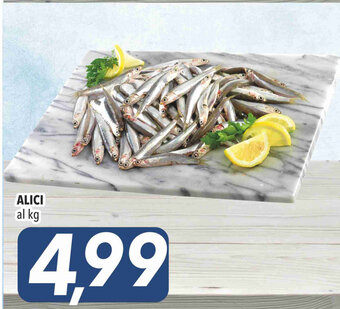 Coop Alici offerta