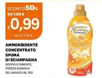Ekom Spuma di Sciampagna Ammorbidente Concentrato Soffio D'Oriente, Fresca Rugiada 30 lavaggi 750 ml offerta