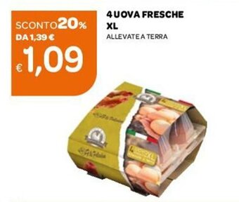 Ekom 4 Uova Fresche XL offerta
