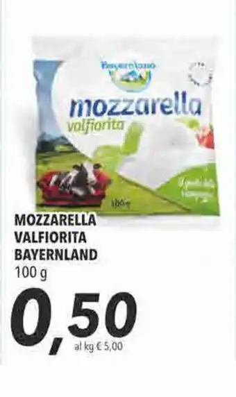 Coop Bayernland Mozzarella Valfiorita 100g offerta