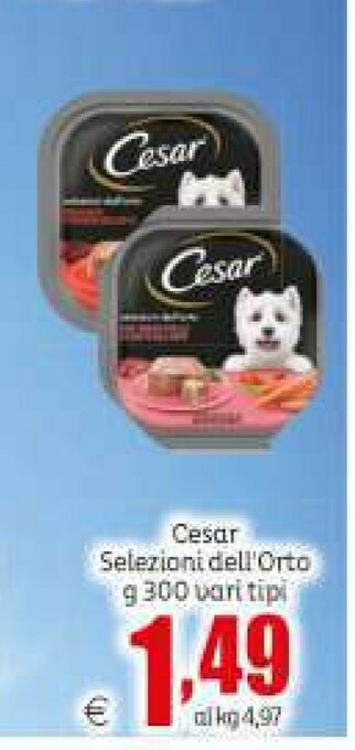 Elite Cibo per cani offerta