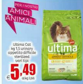 Elite Cibo per gatti offerta