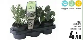 Conad Superstore Piante aromatiche offerta