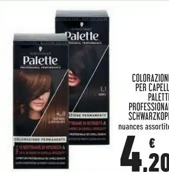 Conad Superstore Colorazioni per capelli palette professional offerta