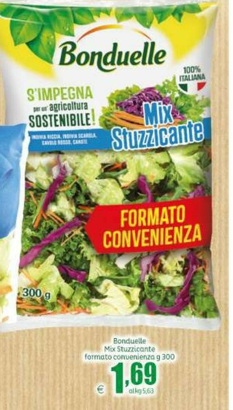 Elite Insalata offerta